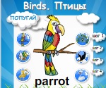 Английский для детей. Тема: "Птицы. Birds"