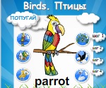 Тема: Птицы. Birds