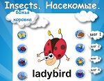 Learning English words. The topic "Insects."